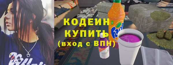 амф Ладушкин